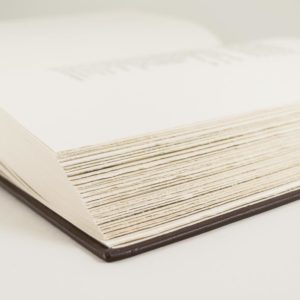 Divina Commedia di Dante Alleghieri - immagine 4