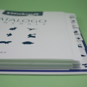 Vitaktraft - raccoglitore ad anelli