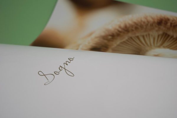 Urbani Funghi - catalogo - immagine 2