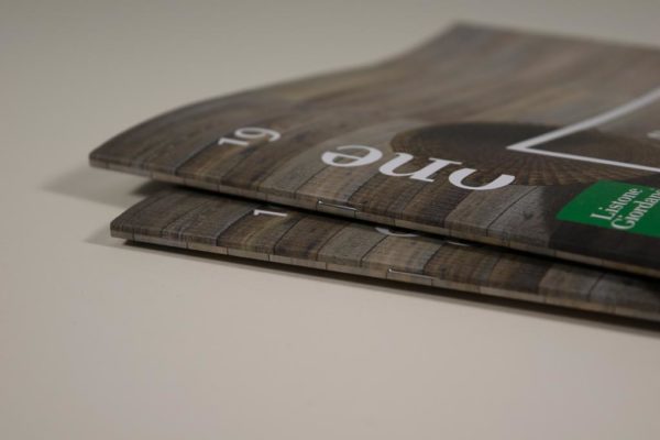 BROCHURE e CATALOGHI - immagine 5